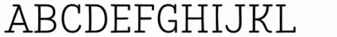 Save The Date Serif Bold
