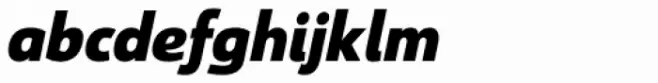 Savigny Black Normal Italic