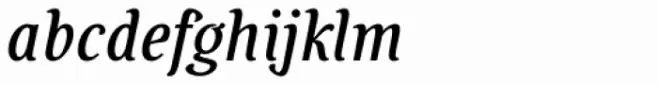 Savour Pro Medium Italic