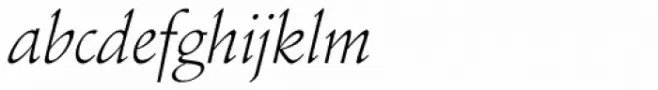 Schneidler Amalthea Light Italic