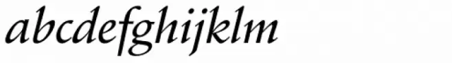 Schneidler Amalthea Medium Italic