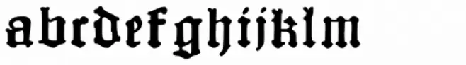 Schoeffer Bold