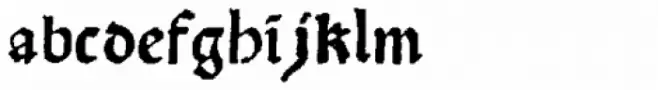 Scoto Koberger Fraktur N9