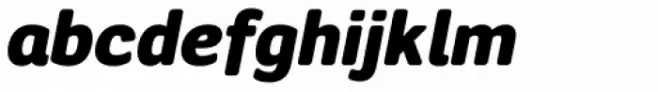 Segaon Soft Black Italic