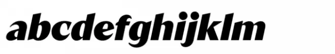 Segnieur Modern Black Italic