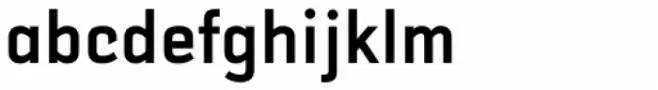 Selektor Bold