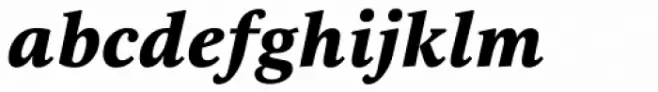 Selina Black Italic