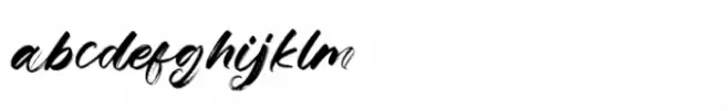 Sellyna Brush Regular