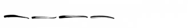 Sellyna Brush Swash