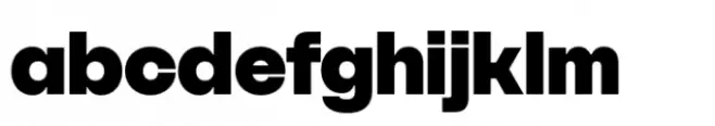 SFT Schrifted Sans Black