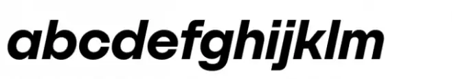 SFT Schrifted Sans Bold Italic