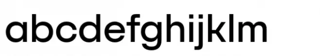 SFT Schrifted Sans Medium