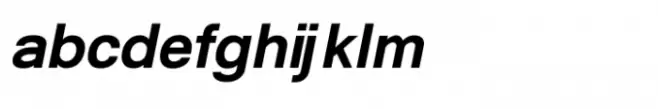 Shree Devanagari 0714 Black Italic