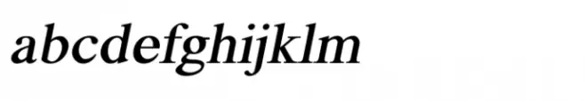 Shree Devanagari 1004 Bold Italic