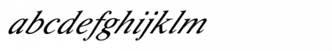 Shree Devanagari 1025 Italic