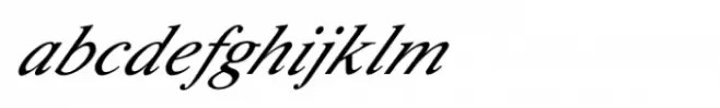 Shree Devanagari 1026 Italic