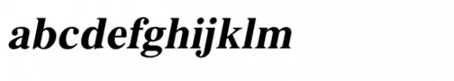 Shree Devanagari 1031 Bold Italic