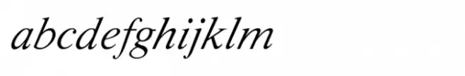 Shree Devanagari 1049 Italic