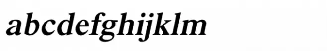 Shree Devanagari 1081 Bold Italic