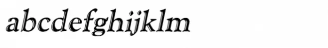 Shree Devanagari 1099 Italic