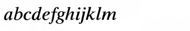 Shree Devanagari 1206 Bold Italic