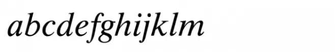 Shree Devanagari 1218 Bold Italic