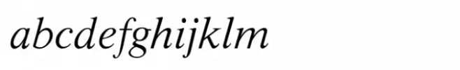 Shree Devanagari 1218 Italic