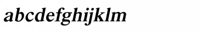 Shree Devanagari 1219 Italic