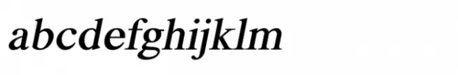 Shree Devanagari 1228 Bold Italic