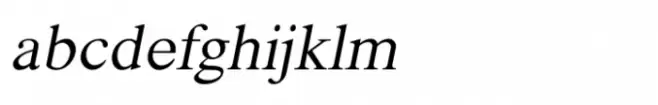 Shree Devanagari 1228 Italic
