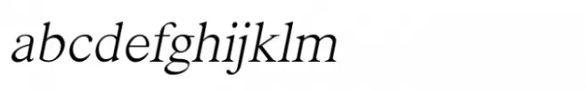 Shree Devanagari 1228 Light Italic