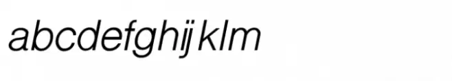 Shree Devanagari 1238 Italic