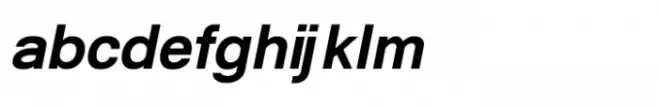 Shree Devanagari 1241 Black Italic