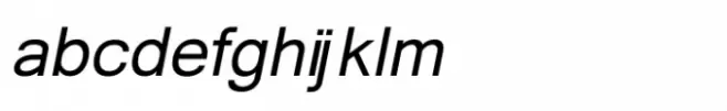 Shree Devanagari 1241 Italic