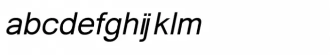 Shree Devanagari 1263 Bold Italic