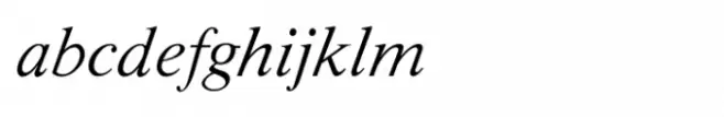 Shree Devanagari 1271 Italic