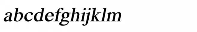 Shree Devanagari 1290 Italic