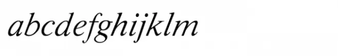 Shree Devanagari 2309 Italic