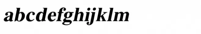 Shree Devanagari 2371 Italic
