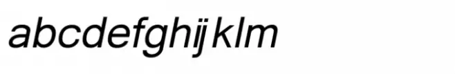 Shree Devanagari 2379 Bold Italic