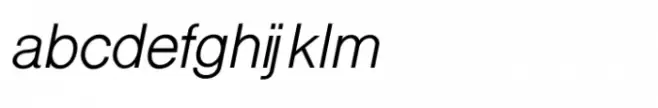 Shree Devanagari 2379 Italic