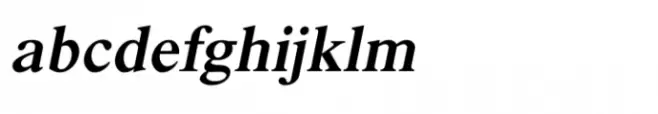 Shree Devanagari 2384 Bold Italic