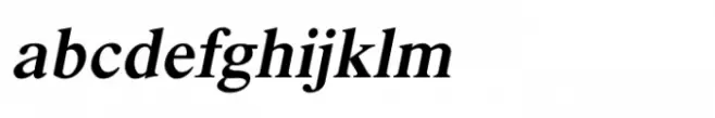 Shree Devanagari 3549 Italic