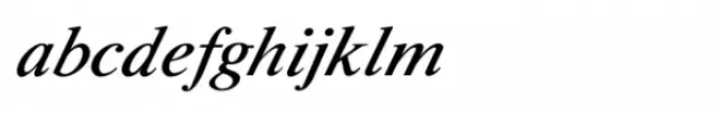 Shree Devanagari 3567 Italic