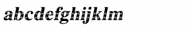 Shree Devanagari 3650 Italic