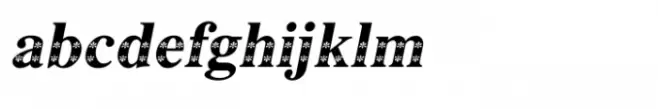 Shree Devanagari 3666 Italic
