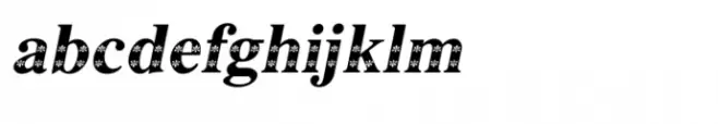 Shree Devanagari 3669 Italic
