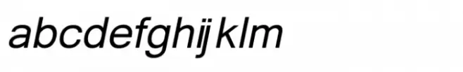 Shree Devanagari 4502 Bold Italic