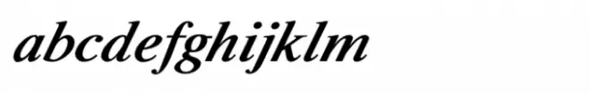 Shree Devanagari 4507 Italic