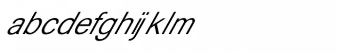 Shree Devanagari 4563 Italic